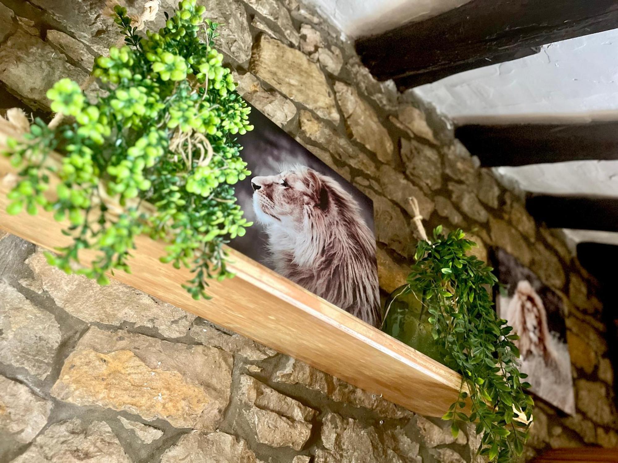 Apartamentos Nel I Santillana del Mar Exterior foto